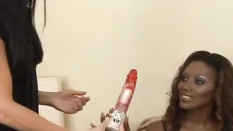 Ebony Incredible Pussies