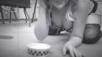 Meow here Kitty Kitty