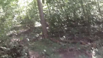 THE 4X4 SIDE BY SIDE point of view BWC PAWG GOPRO BALD VAGINA RIDING with FIREBIRD HAWK and the D3AD RAC3R