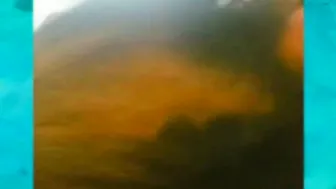 Thick Butt Southern bimbos Blows Penis and Getting Facial Sucks his Mind