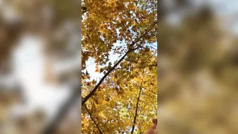 Vértigo porn video – Autumn vertigo