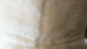 Sheep announcement. Sharp Banging and Deep Throat