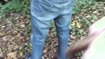 Beat up into the dutch woods with elite rose