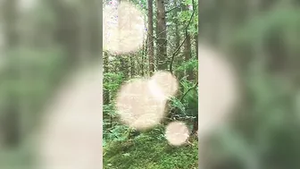 Naked Forest Walk