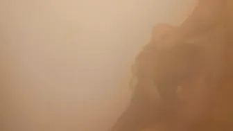 Oral Sex and doggy into the shower