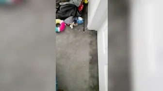 CUCKOLD LISTENS TO BIMBOS GETS REAL SATISFACTION