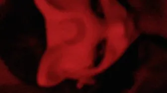 I offer him a amazing fellatio with my mask and with my best whore face I drink all of it