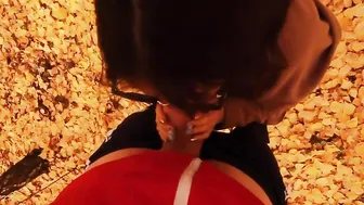 Outdoors sex into the park gave a fellatio to a random passerby