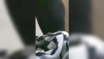 Step cougar wiped twat into front of step son