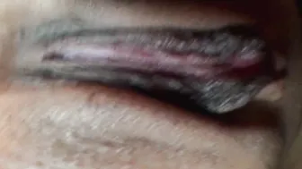Gemini Bare Bottom