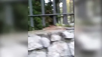 (Risky Outdoors) Freaky Hispanic Head inside the Street
