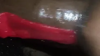 MIDNIGHT SNACK 