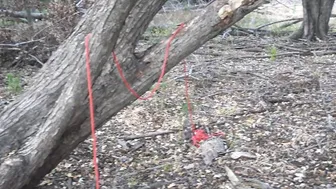 Every Halloween This Hot Succubus Deepthroats Another Penis on a Outdoor Trail inside the Haunted Woods