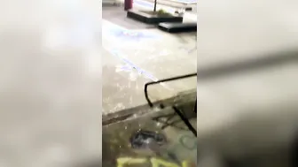 blowing cock at the sk8park