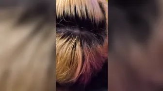 I fucking love sucking off cock