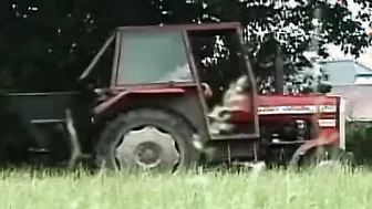 Bushy vagina dark haired plowed inside the butt