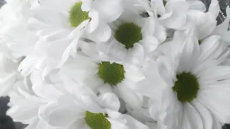 Thank you for the gift card code baby. I get some flowers for my room to remind me of you