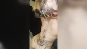 Une chienne mature au lit