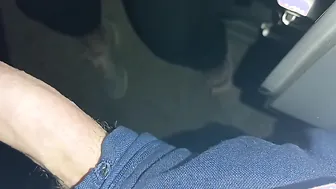 Teased him into the vehicle  finished off at the local park