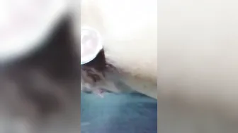 Juego con mi juguete por el culo