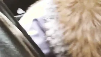 A colleague drove me home and my mouth couldnt stand