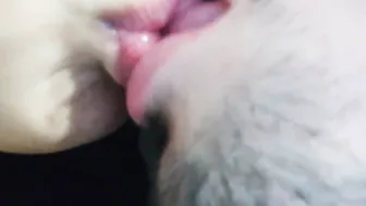 TONGUE SALIVA MAKING OUT - SLOPPY Wild CLOSE UP