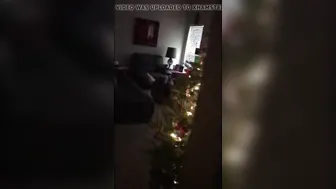 Interracial Xmas - sample
