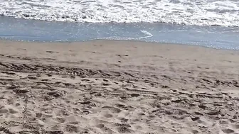 Nudist Beach FUN and HOT PEEING into Outdoors