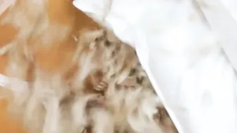 Camgirl Alegra Thomas shows super nude body before beauty babes showed bodies