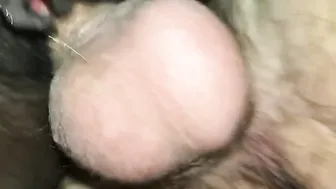 Beating up her juicy chocolate snatch