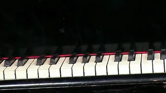 Thin dark haired skank inside red dessous fuck into her booty