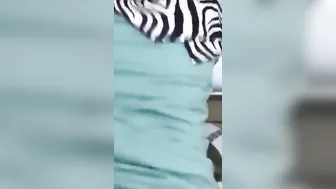 Türbanlı sevgilimi domalttım  gerçek türk ifşa / real turkısh hijab women