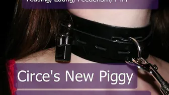Circes New Pet Piggy