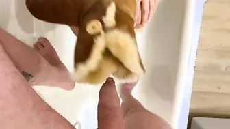 curvy wifey whipped cream bj into Uggs - projectfundiary