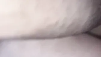 TMD: Doggy Style Farts - Fs