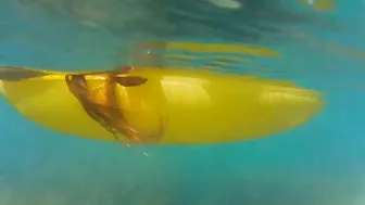 ENJOY Ass Plug INSIDE and OUT among Fish n Corals