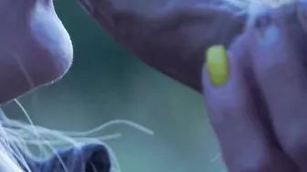 Whore offer me a fellatio inside nature