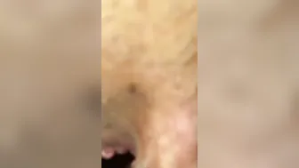 Gigantic penis african boy
