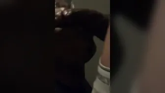 Sloppy fellatio after a break up