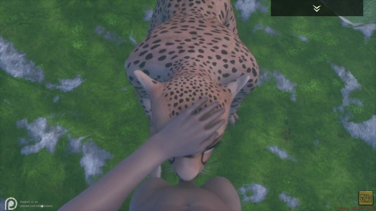Jungle Xxx Animal Com - Wild Life / Cheetah Furry pov Porn inside Deep Jungle 4kPorn.XXX
