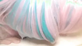 NanananJapan Adorable No23