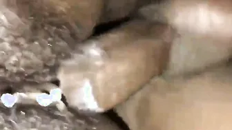 Ms Cream pie