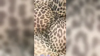 Clit Vibrator porn video – Leopard Stockings Encasement