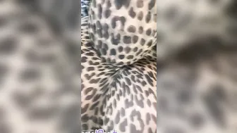 Leopard Stockings Encasement