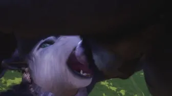Rahn The Wolf Anal Knots  Ejaculates Into Female Wolf / Wild Life Furries