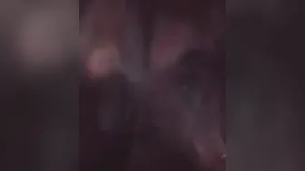 I told him to pull over so I could suck his incredible sexy chocolate cock 