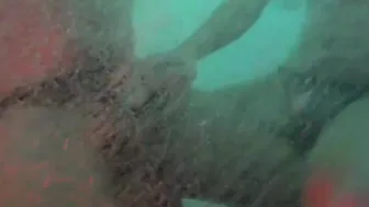 I pull out my dick inside front of a sluts