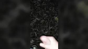 Hand Job von meiner Freundin im Wald bei Frankfurt