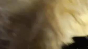 Female centaur plowed into her big cunt