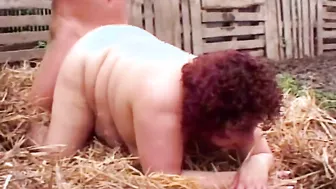 Phat Farm #2